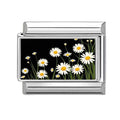 Multicolor Daisy Flower Italian Charm Link