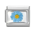 Blue Daisy Flower Italian Charm Link